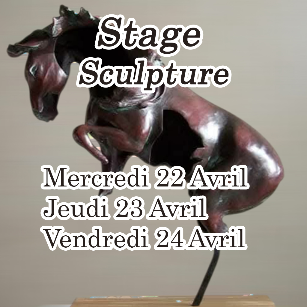 Modèle Carroussel 1